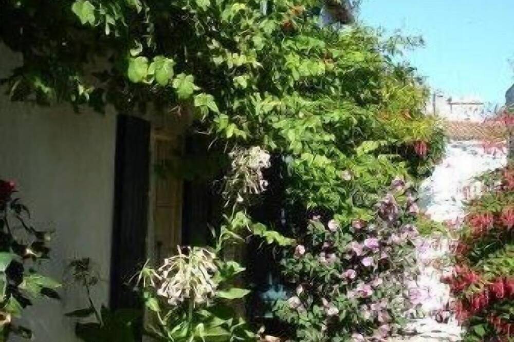 Casa familiar Ile de Ré cerca del puerto de San Martín de 2 a 9 personas in Saint-Martin-de-Ré, Isla de Ré