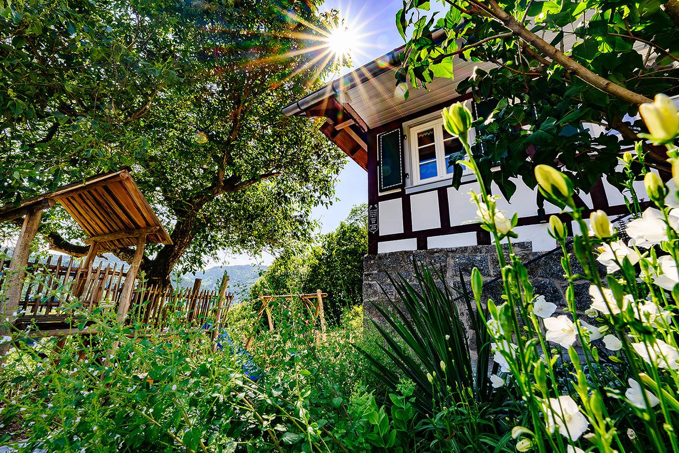 Huber Xaveri - Hof - Ferienhaus mit 170qm, Wellnessbereich, 5 Schlafzimmer, max. 10 Personen in Ottenhöfen im Schwarzwald, Mittlerer Schwarzwald