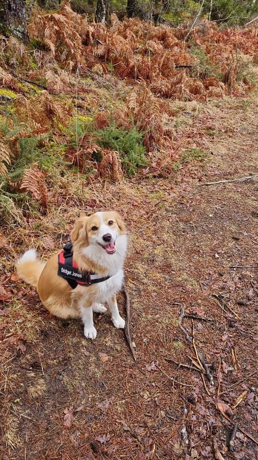 Location de vacances pour 2 personnes, avec jardin et vue à Bugeat - 4