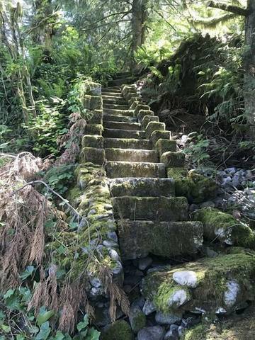 Bungalow für 5 Personen in Kaskadenkette, Washington, Bild 4