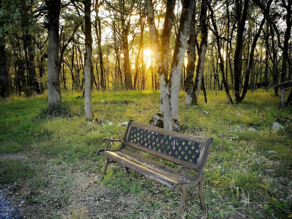 Le Clos des Dryades - Chambre Dryades in Vers, Massif central