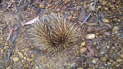 Holiday Home for 8 People in Kangaroo Island, South Australia, Photo 3