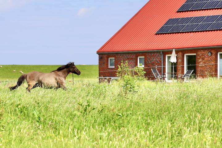 Ferienwohnung für 2 Personen, mit Garten und Ausblick in Neuharlingersiel - 3