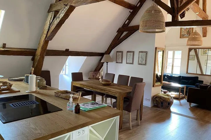 Appartement entier, Aux 3 Maillets 2. Très bel appartement dans une maison du Xviè. in Bourges, Région de Bourges