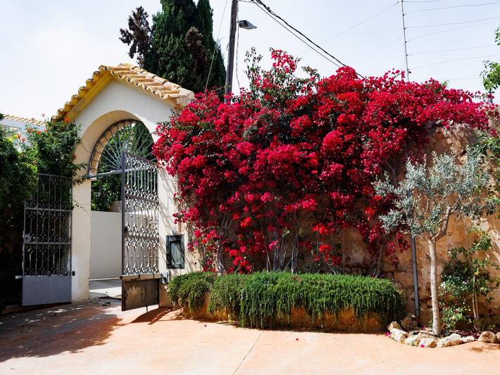 Ferienhaus für 8 Personen, mit Meerblick und Garten sowie Pool in Palma - 2