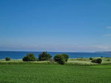 Ferieudlejning til 12 Personer i Yderby Lyng, Sjællands Odde, Billede 2