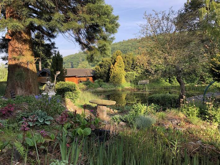 Hütte für 4 Personen, mit Garten in der Eifel - 2