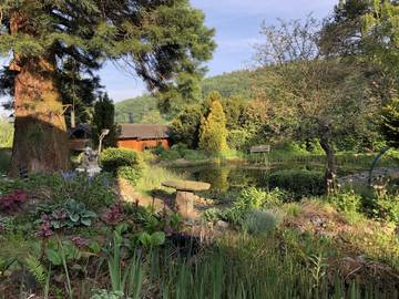 Hütte für 4 Personen in Kerpen (Eifel), Eifel (Rheinland-Pfalz), Bild 1
