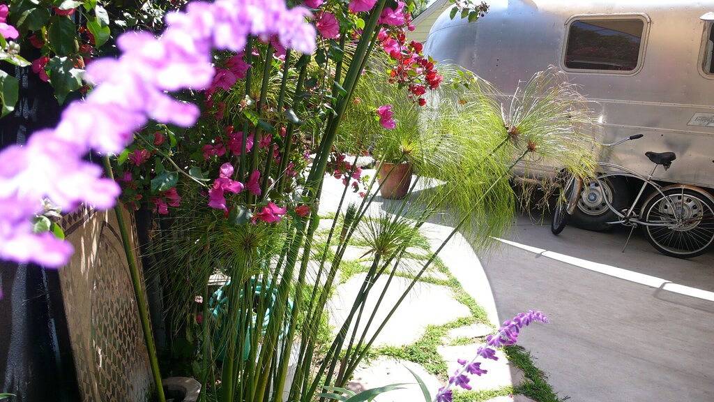 Airstream Hinterhof private Glamping Mar Vista Oase Gated Hof Außendusche in Los Angeles, Los Angeles County