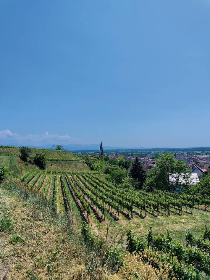 Ganze Ferienwohnung, Fürhäupterhof - Fürhäupterhof, 89 qm, 1-4 Personen in Ihringen am Kaiserstuhl, Kaiserstuhl