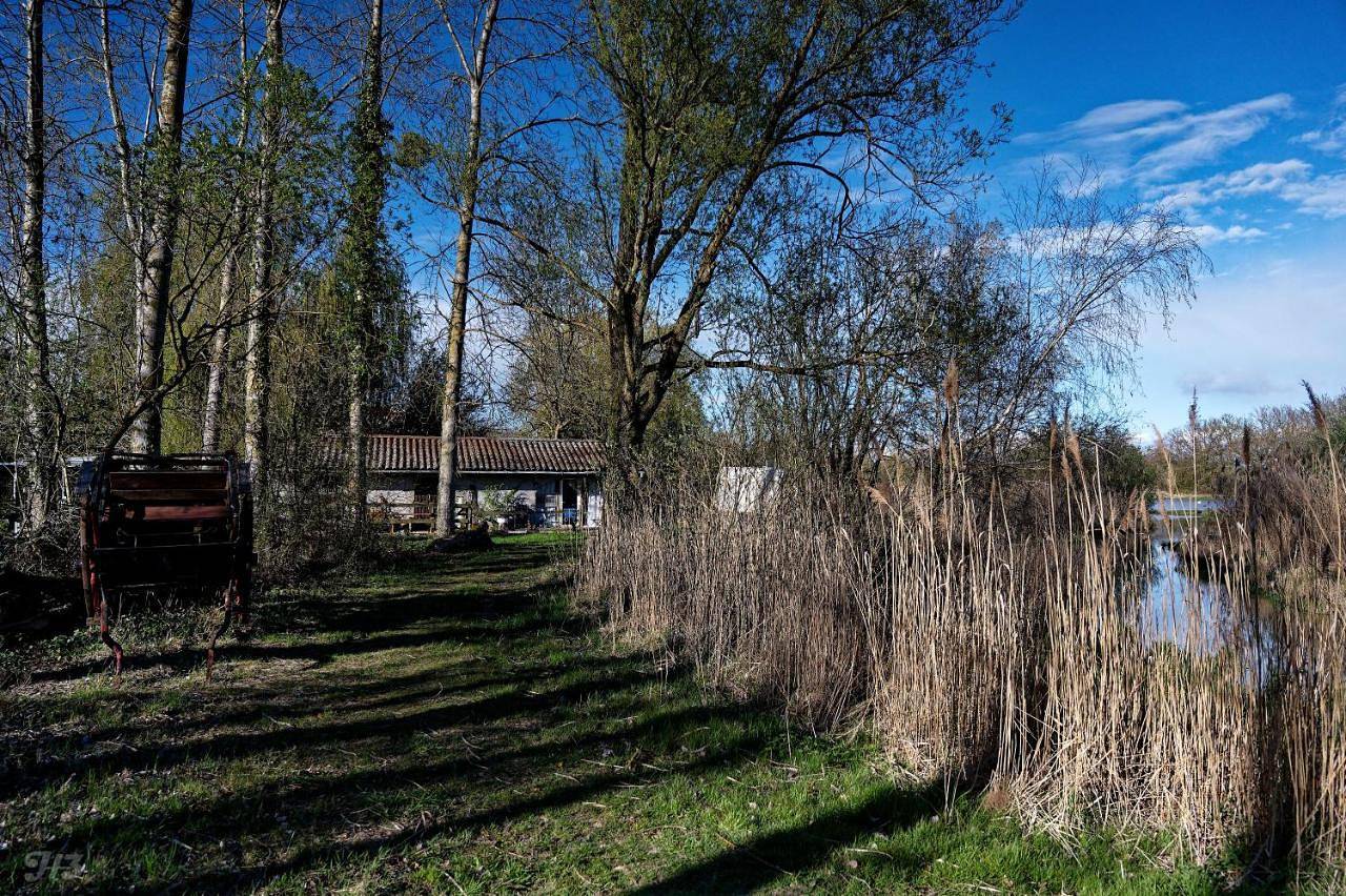 Espace Nature Studio indépendant proche du Parc des oiseaux in Sainte-Olive, Ain