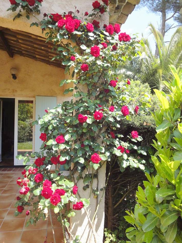 Location de vacances pour 2 personnes, avec jardin et vue à Saint-Paul-de-Vence - 4