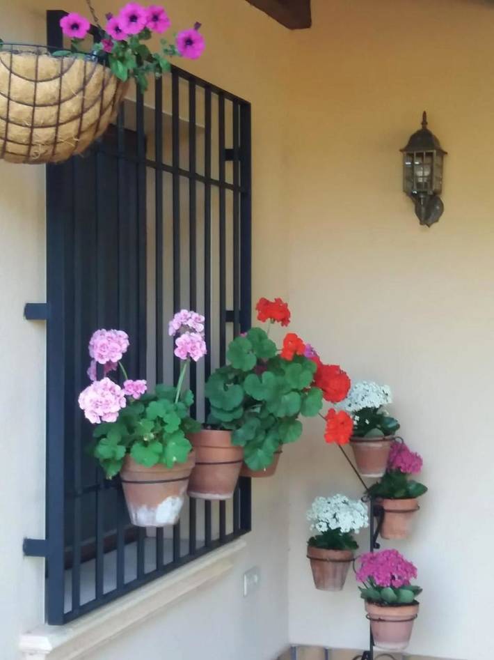 Casa rural para 4 personas, con jardín y vistas, Se admiten mascotas en Sierra de Alcaraz - 4