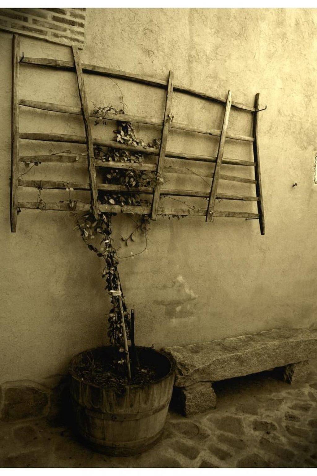 Callejón del Pozo Ii in Gálvez, Province de Tolède