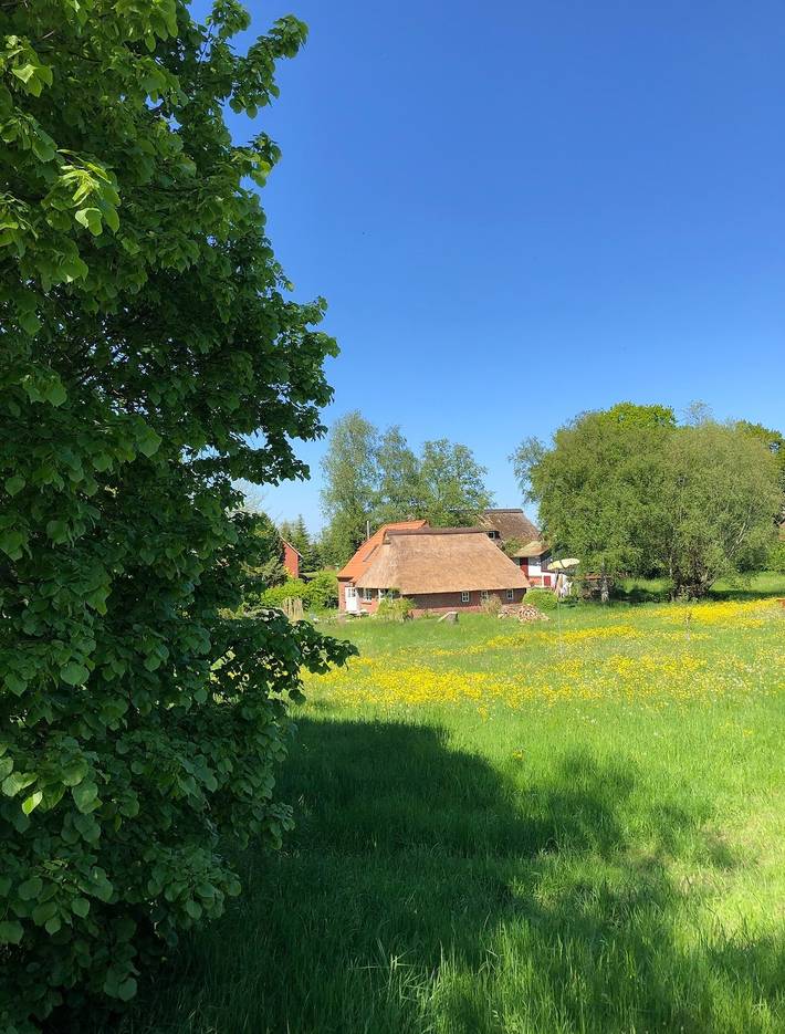 Ferienhaus für 5 Personen, mit Garten und Sauna