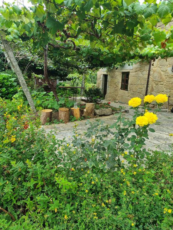Albergue para 16 personas, con Terraza además de Jardín y Piscina en Valle del Dubra - 3
