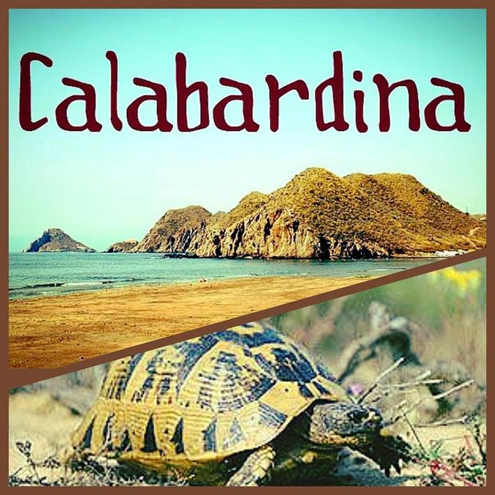 Gîte pour 2 personnes, avec vue et jardin à Águilas - 2