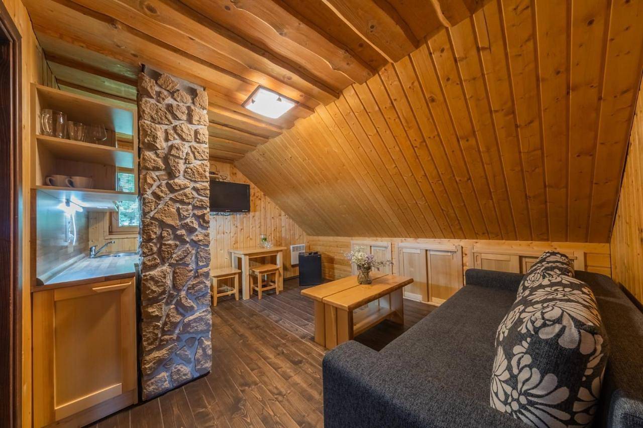 Deluxe Suite in Central Slovakia
