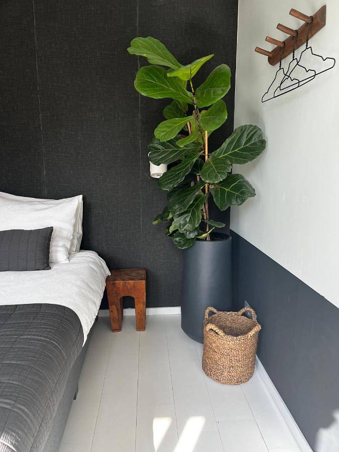 Hotel für 2 Personen, mit Terrasse und Garten sowie Ausblick in Velden - 2