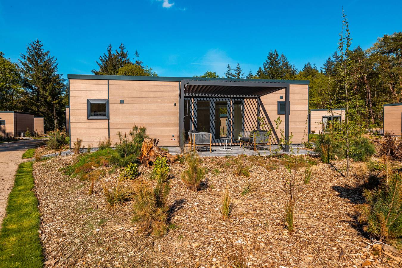 Vakantiepark De Wiltzangh — Groeneborg Lodge | 6 Personen in Nationalpark Dwingelderveld