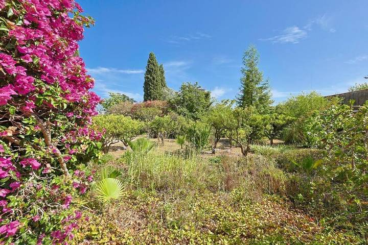 Villa pour 11 personnes, avec jardin à Hyeres - 3