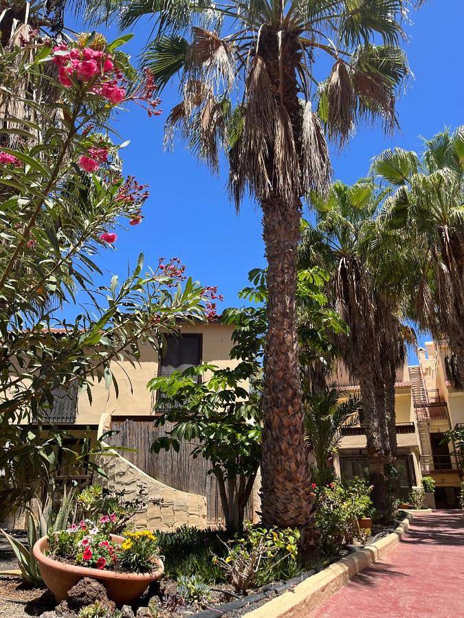 Ganze Wohnung, One-Bedroom Apartment in El Jablito, La Oliva