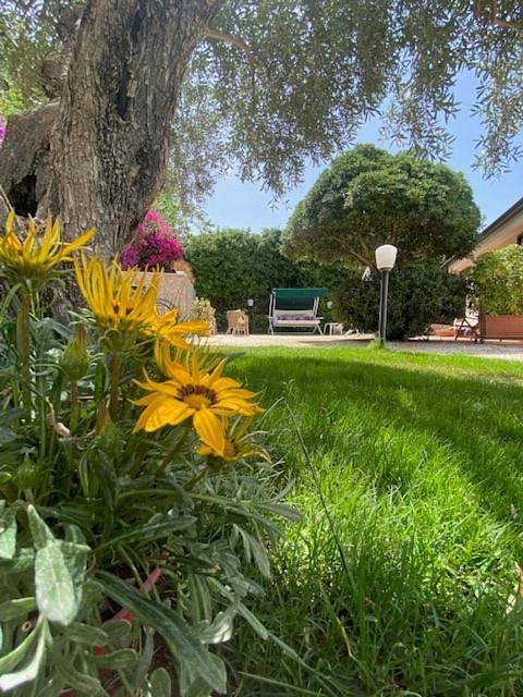 Bed and Breakfast für 4 Personen, mit Ausblick und Garten - 1