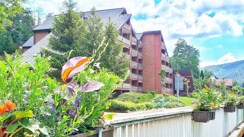 Ferienwohnung für 3 Personen, mit Sauna und Balkon sowie Ausblick, mit Haustier - 1