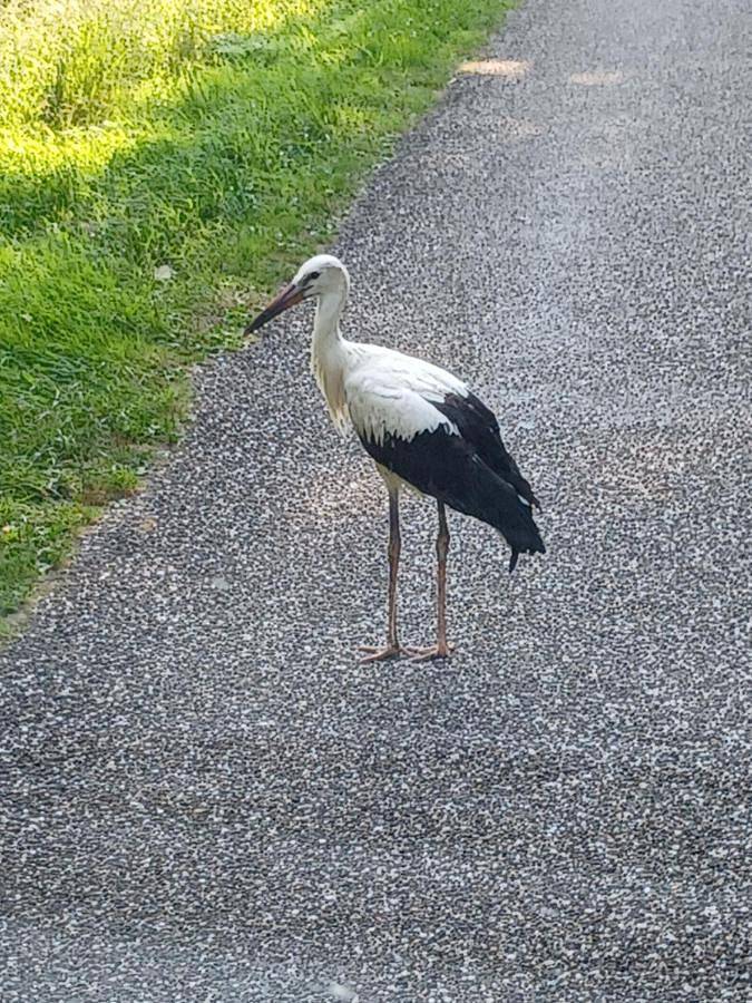 Location de vacances pour 7 personnes, avec vue, animaux acceptés à La Celle-sous-Gouzon - 2