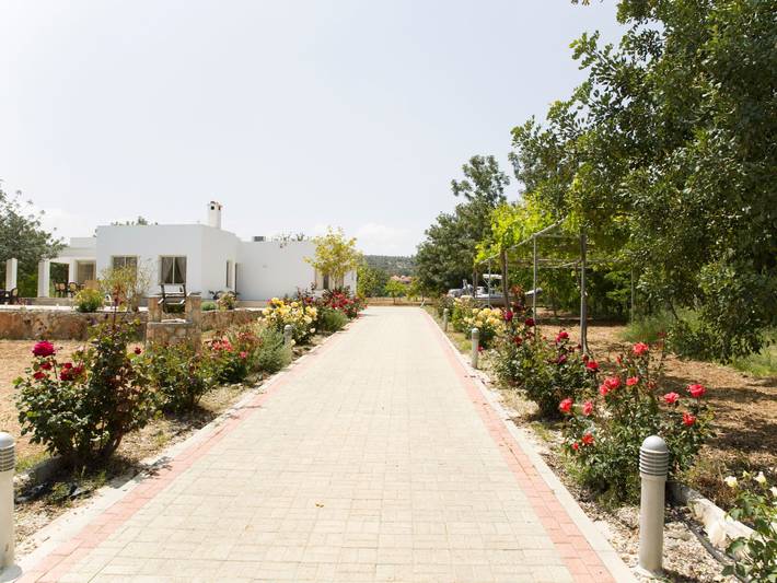 Bungalow für 8 Personen, mit Garten und Pool sowie Terrasse auf Zypern - 3