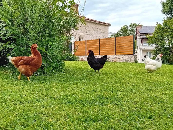 Location de vacances pour 2 personnes, avec jardin, animaux acceptés à Moutiers-sur-le-Lay - 3