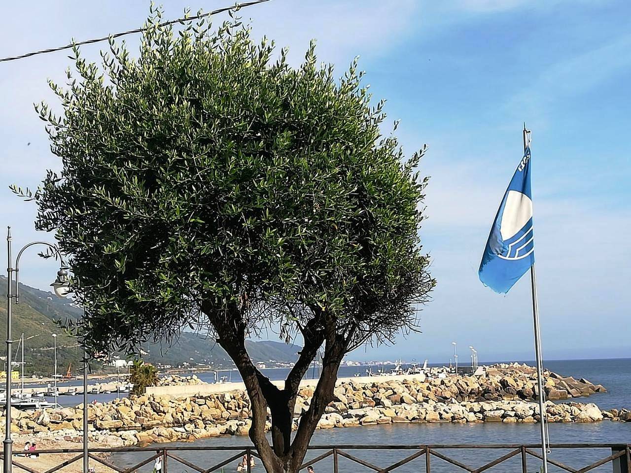 Ganze Wohnung, Casa Marinella in Montecorice, Cilento Coast