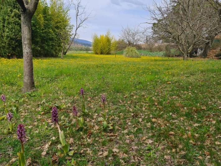 Location de vacances pour 2 personnes, avec jardin à Les Mées - 4