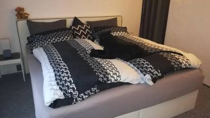 Ferienwohnung für 4 Personen in Salzkammergut-Berge, Altmünster, Bild 1