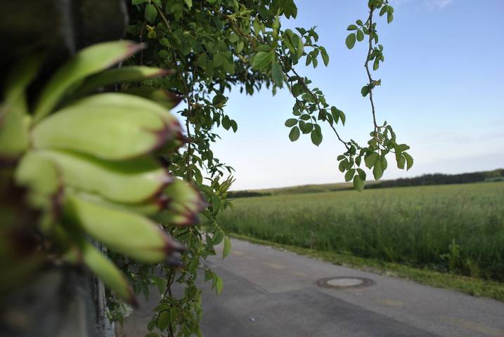 Ferienhaus für 6 Personen, mit Garten und Pool sowie Terrasse, mit Haustier im Altmühltal - 4