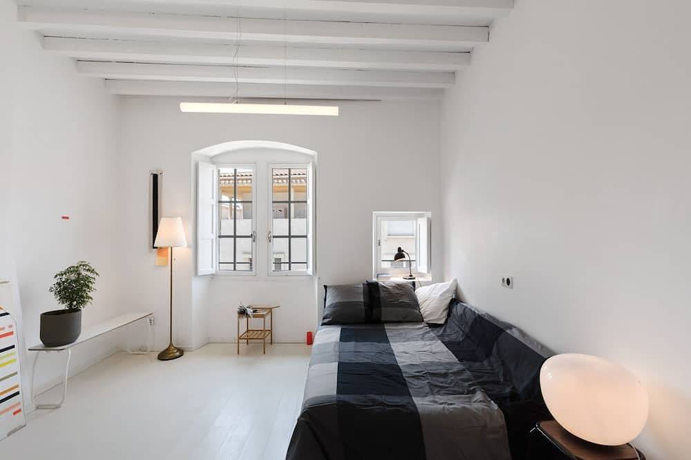 Entire apartment, Apartment in Avignon near Palais de Papes in Avignon, Vaucluse