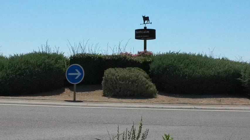 Hôtel pour 3 personnes, avec terrasse et vue, animaux acceptés à Vauvert - 4