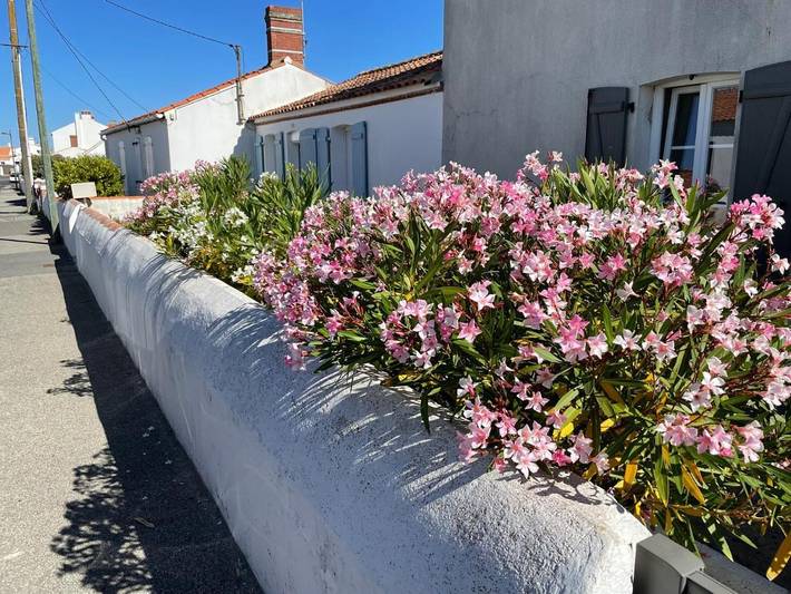 Location de vacances pour 8 personnes, avec vue et jardin dans l'Herbaudière