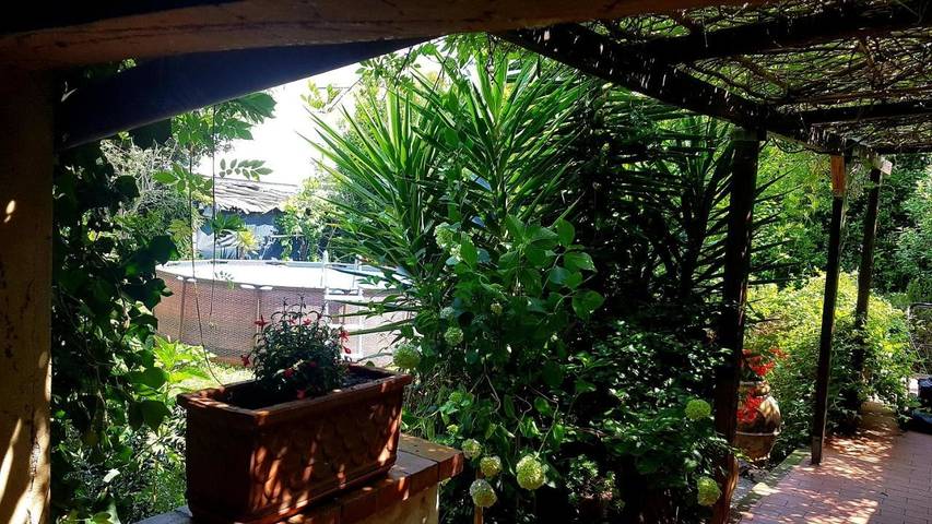 Location de vacances pour 3 personnes, avec vue ainsi que piscine et jardin dans Torre del Lago Puccini - 4