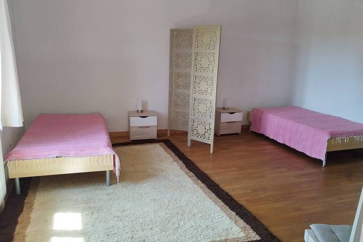 Gîte pour 6 personnes, avec jardin à Libaros - 4