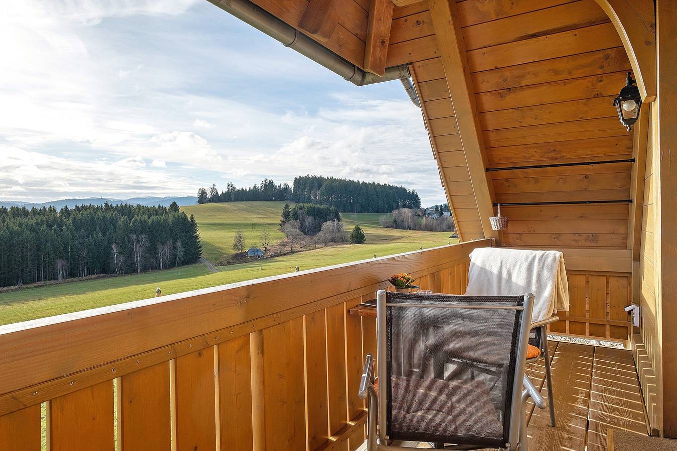 Ganze Wohnung, Ferienwohnung "Storchennest" mit Bergblick, Gemeinschaftsgarten und Wlan in Breitnau, Südschwarzwald