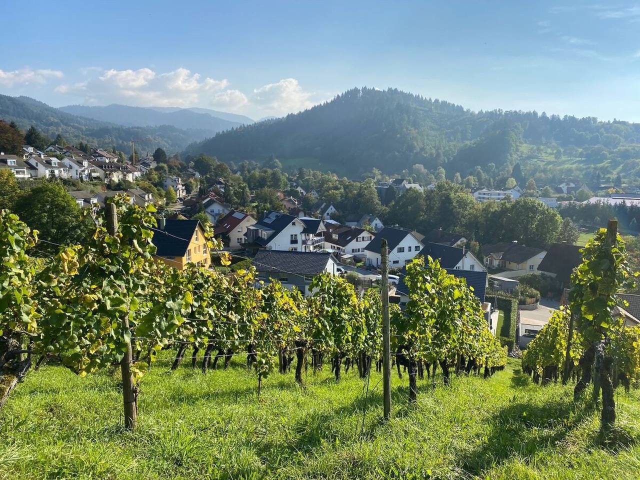 Ganze Ferienwohnung, Haus am Weinberg - Ferienwohnung Wald, 75qm mit 2 Schlafzimmer für max. 5 Gäste in Sulzburg, Südschwarzwald