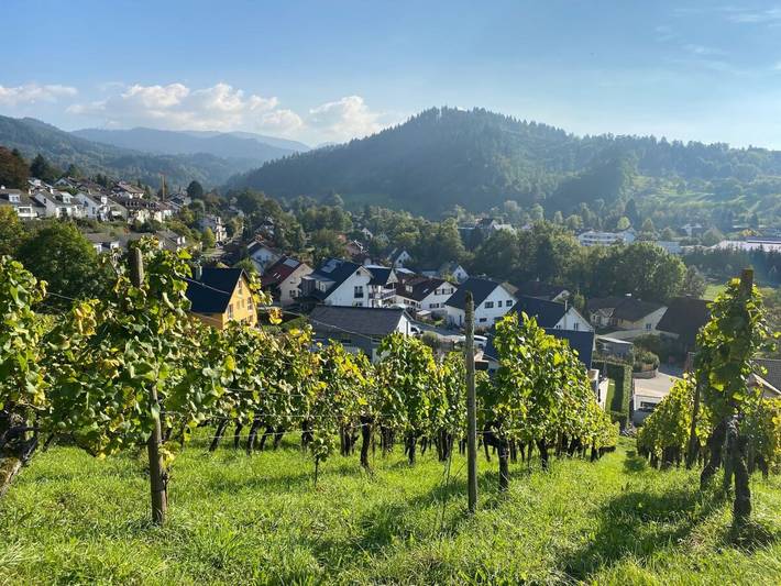 Ganze Ferienwohnung, Haus am Weinberg - Ferienwohnung Wald, 75qm mit 2 Schlafzimmer für max. 5 Gäste in Sulzburg, Südschwarzwald
