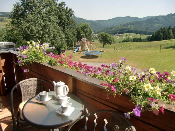 Ferienwohnung für 5 Personen, mit Garten und Ausblick, kinderfreundlich in Weyregg am Attersee - 2