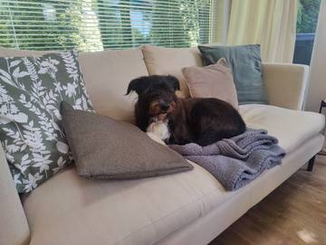 Chalet for 6 People in Kentisbury, Devon, Photo 4