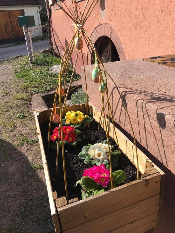 Gîte pour 6 personnes, avec jardin et vue à Steige - 4