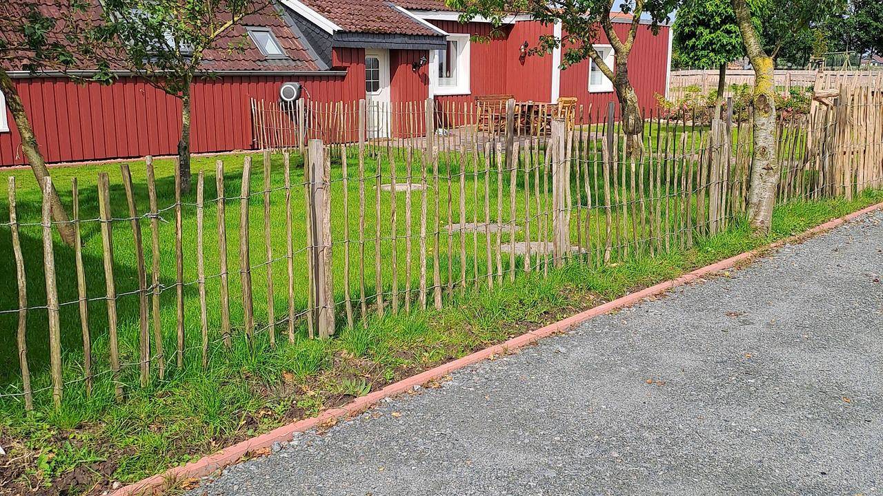 Hauptbild