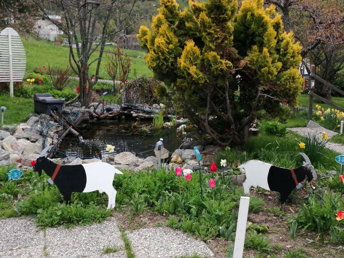 Ganze Wohnung, Fortuna in Bürchen, Walliser Alpen