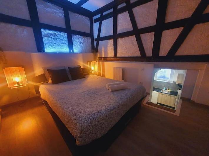 Gîte pour 2 personnes, animaux acceptés à Sélestat - 3