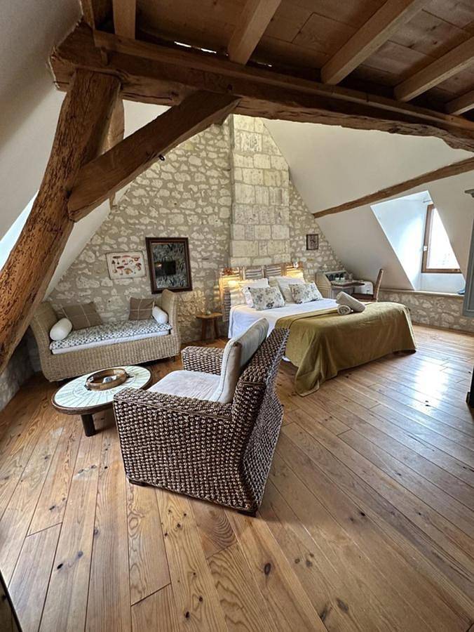 Chambre d’hôte pour 4 personnes, avec jardin et piscine, animaux acceptés en Indre-et-Loire - 2